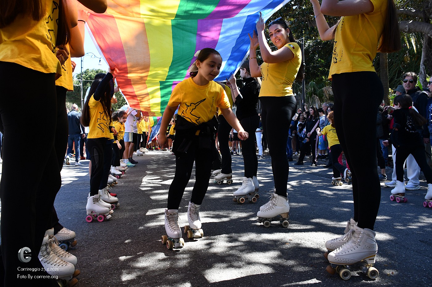 DSC_6421